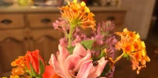 Mother’s Day: Local mothers share what they’d love the most!