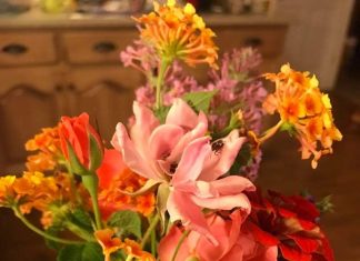 Mother’s Day: Local mothers share what they’d love the most!