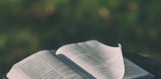 Devotion – Dressing for the day