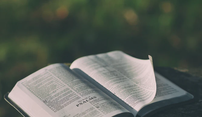 Devotion – Dressing for the day