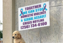 Victim Services seeks to bring Sexual Assault Nurse Examiner to Cullman