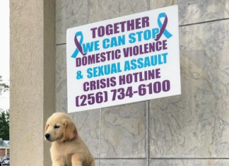 Victim Services seeks to bring Sexual Assault Nurse Examiner to Cullman