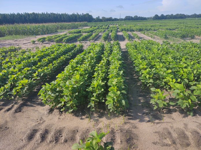 20200722_134156043_iOS