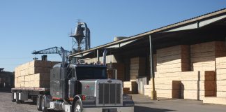 Recent drop in lumber prices doesn’t tell full story