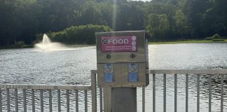 Editorial: Don’t feed the ducks