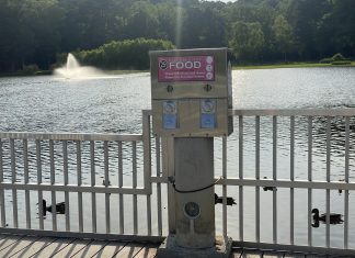 Editorial: Don’t feed the ducks