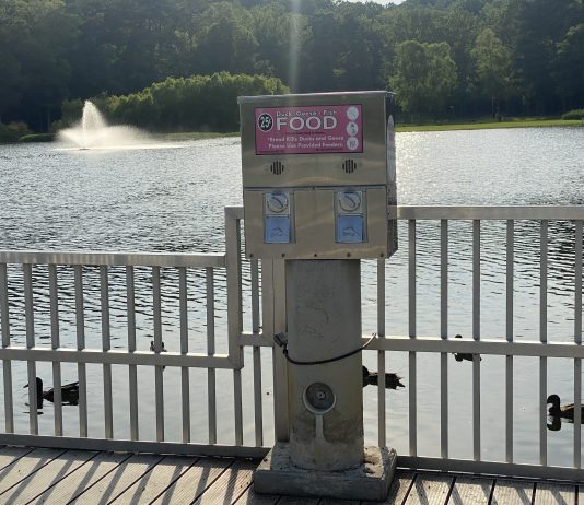 Editorial: Don’t feed the ducks