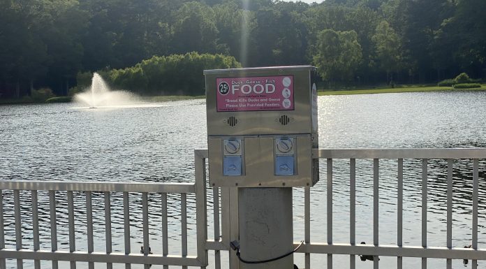 Editorial: Don’t feed the ducks