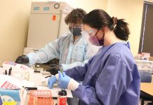 Full scholarships offered for Medical Lab Assistant certificate at Wallace State