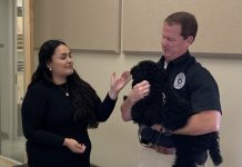 Meet Professor Karl O. Waussie!