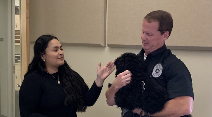 Meet Professor Karl O. Waussie!