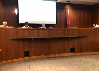 Cullman City Council approves Rock the South permit, industrial tax abatements