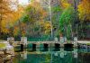 Wallace State Alumni Association resumes travel program