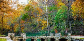 Wallace State Alumni Association resumes travel program