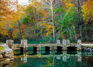 Wallace State Alumni Association resumes travel program