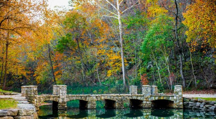 Wallace State Alumni Association resumes travel program