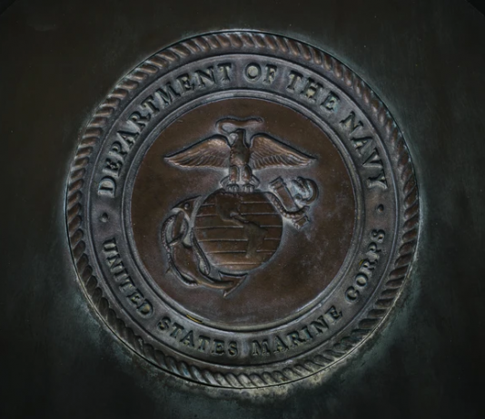 Editorial: A love letter to my son