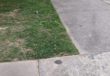 For the mystery lovers: Who put a star medallion outside the Cullman Library?