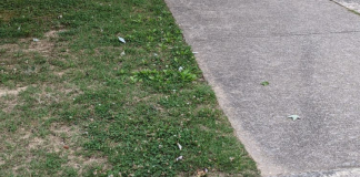 For the mystery lovers: Who put a star medallion outside the Cullman Library?