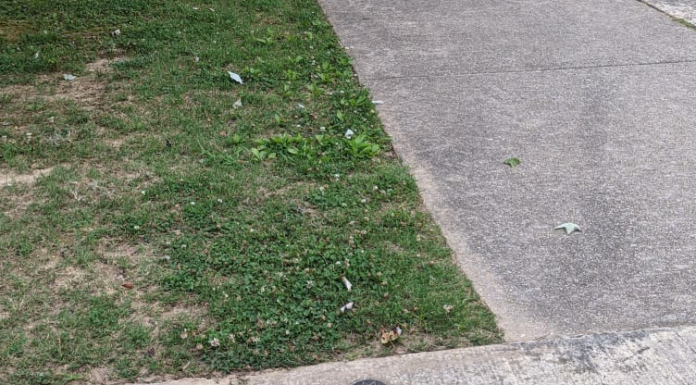 For the mystery lovers: Who put a star medallion outside the Cullman Library?