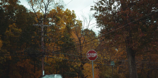 Editorial: Don’t honk at me! I live here!