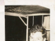 Veteran Memorial: Wayne Brock and Quinton Edgar “Bill” Cheatwood