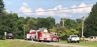 Walter crash claims life of Blountsville woman