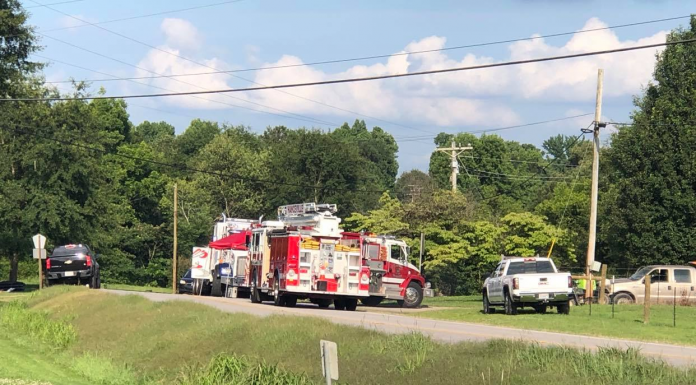 Walter crash claims life of Blountsville woman