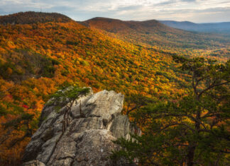 Outdoor Alabama Photo Contest opens August 2