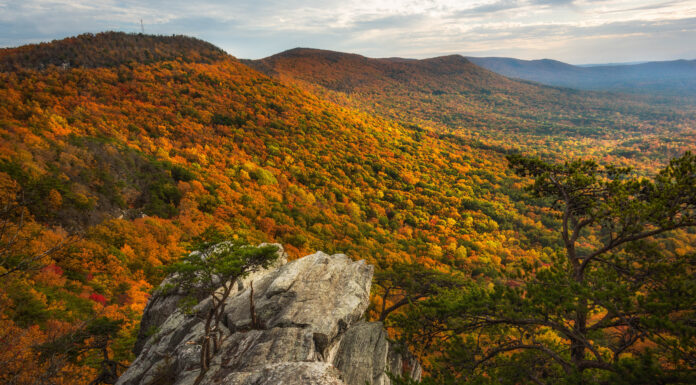 Outdoor Alabama Photo Contest opens August 2