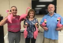 Flamingo sightings in Good Hope