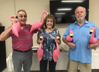 Flamingo sightings in Good Hope