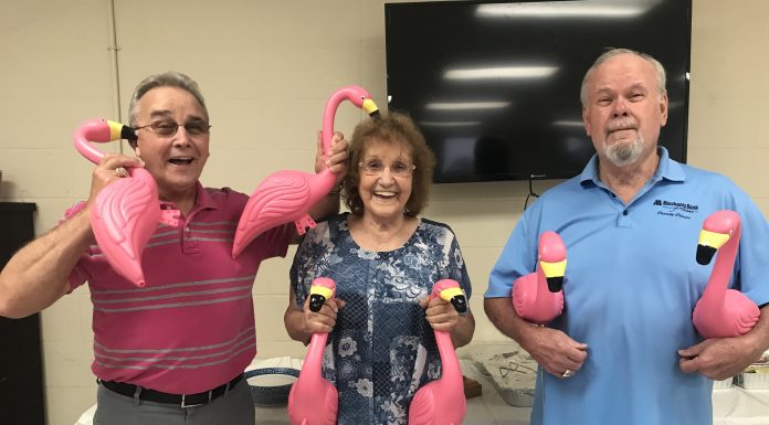 Flamingo sightings in Good Hope