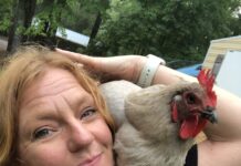 Daytrippin’ – Snead’s Farmhouse