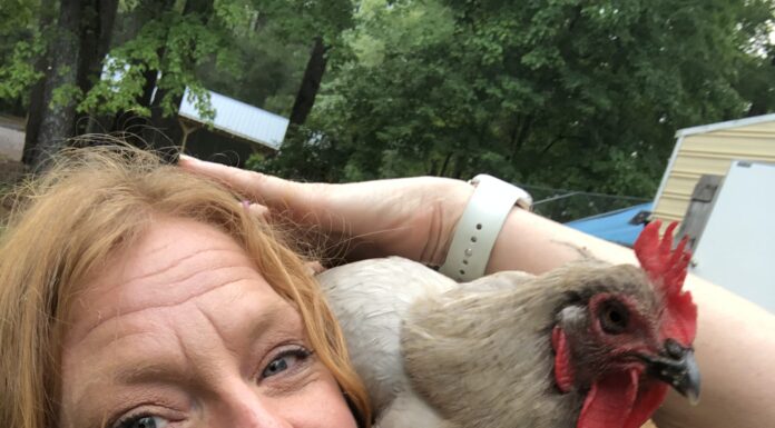 Daytrippin’ – Snead’s Farmhouse