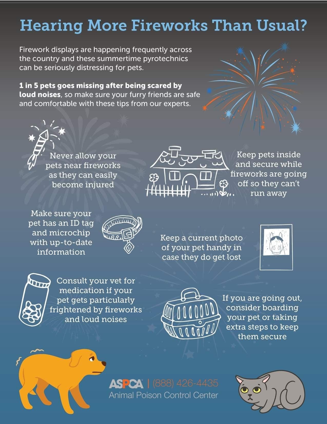 Four ways Fourth of July fireworks can harm our pets - The Cullman Tribune