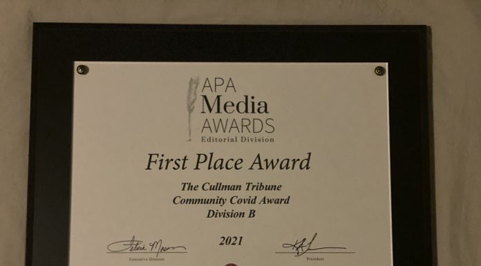 Tribune nets 13 APA awards including Community COVID award