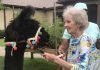Westminster Assisted Living experiences farm living with a visit from Step-by-Step Petting Zoo