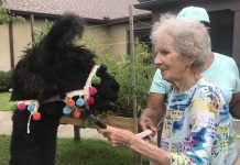 Westminster Assisted Living experiences farm living with a visit from Step-by-Step Petting Zoo