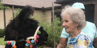 Westminster Assisted Living experiences farm living with a visit from Step-by-Step Petting Zoo