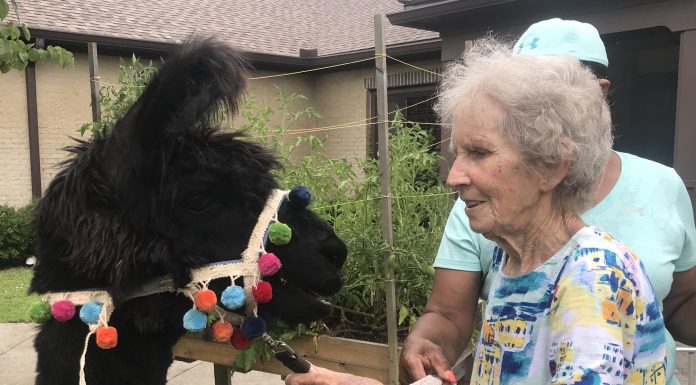 Westminster Assisted Living experiences farm living with a visit from Step-by-Step Petting Zoo