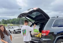 ‘Volunteerism and service’