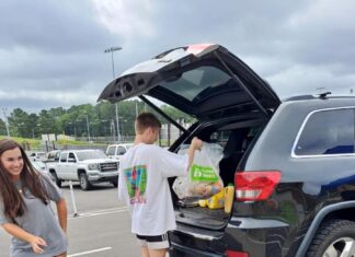 ‘Volunteerism and service’