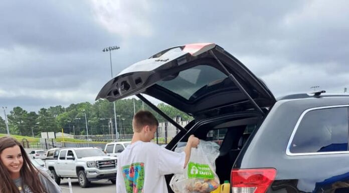 ‘Volunteerism and service’