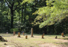 Cullman County Commission invites Colony Mayor Curtis Johnson to speak about inclusion of Colony Town Cemetery on the Alabama Historic Cemetery Registry
