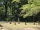 Cullman County Commission invites Colony Mayor Curtis Johnson to speak about inclusion of Colony Town Cemetery on the Alabama Historic Cemetery Registry