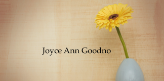 Obituary: Joyce Ann Goodno