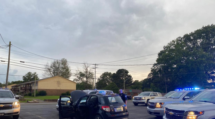 BREAKING: Stolen car located in west Cullman, suspect in custody