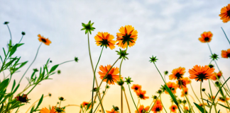 Editorial: The Policies of Starting Over – Patience