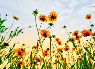 Editorial: The Policies of Starting Over – Patience